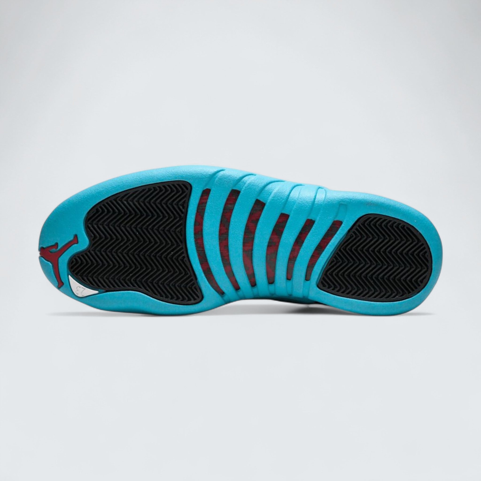 Air Jordan 12 'Gamma Blue'