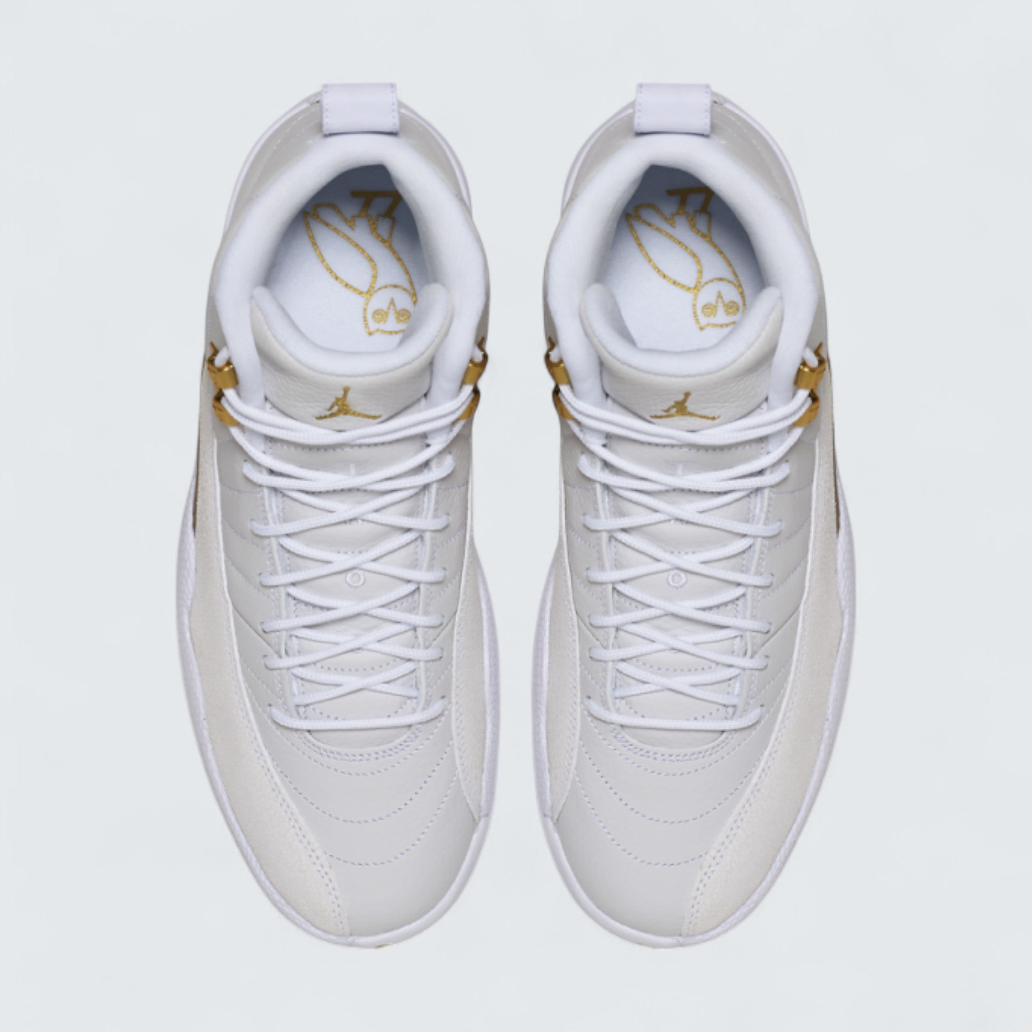 Air Jordan 12 'OVO'