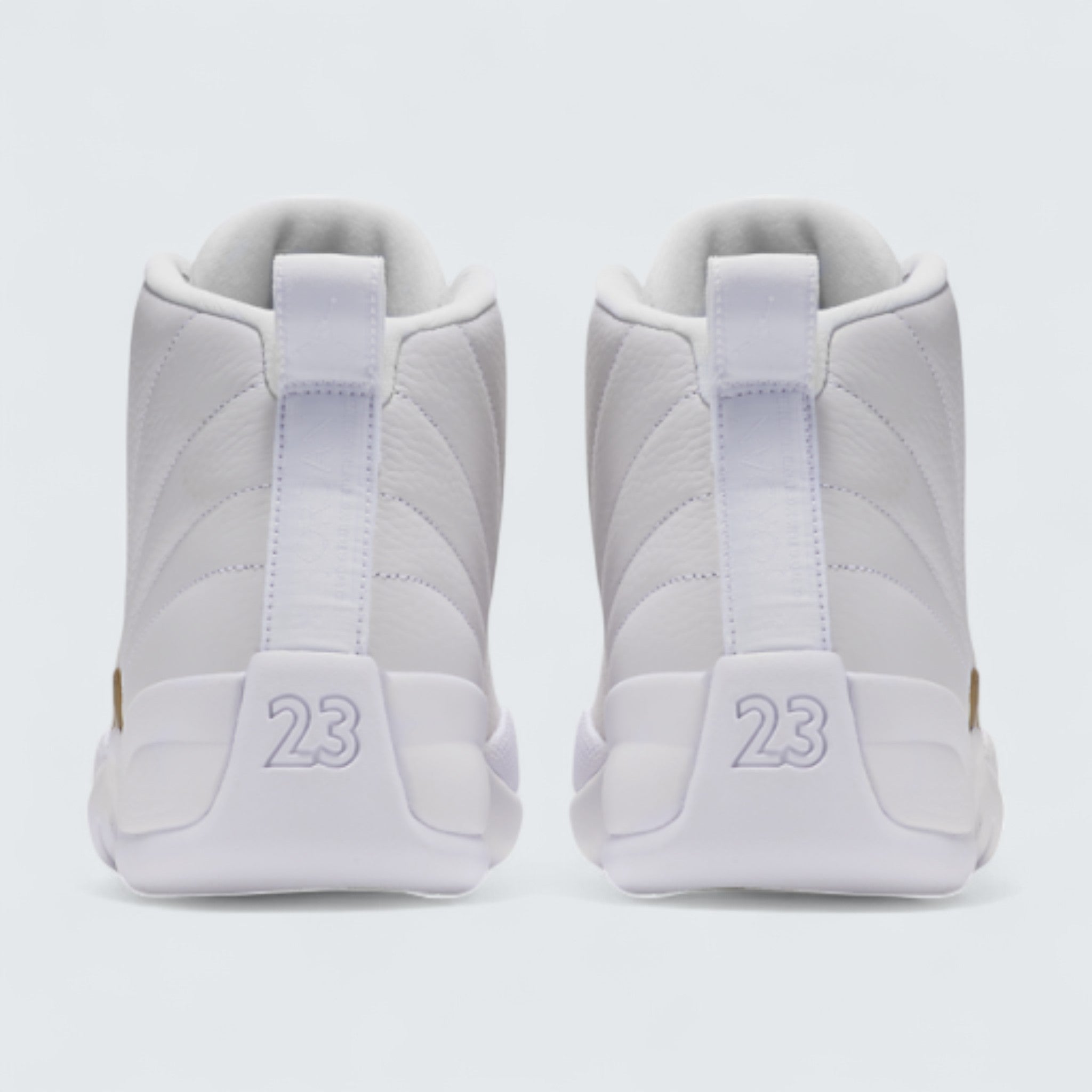 Air Jordan 12 'OVO'