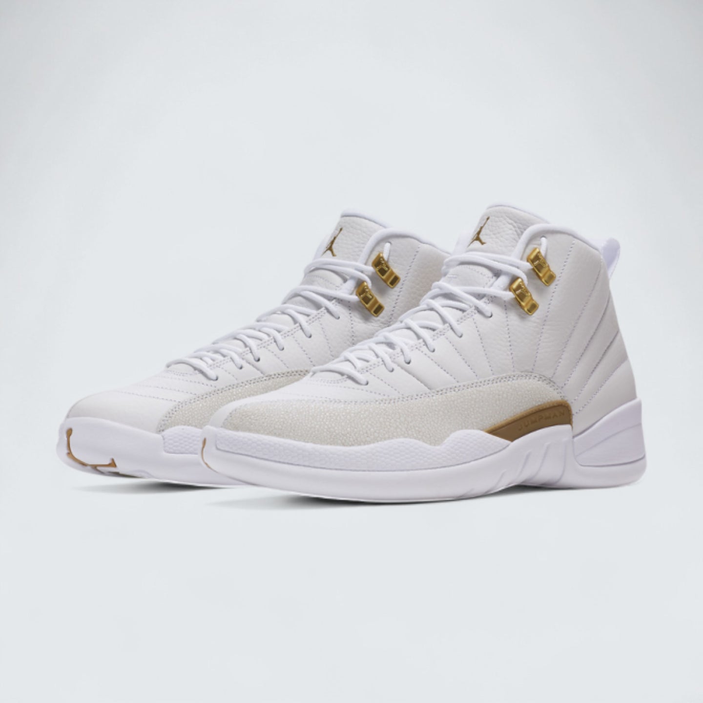 Air Jordan 12 'OVO'