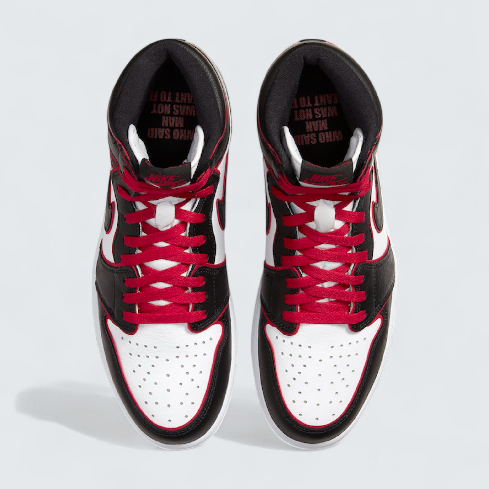 Air Jordan 1 Retro High OG 'Bloodline'