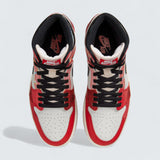 Air Jordan 1 Retro High OG 'Next Chapter'