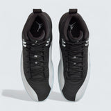 Air Jordan 12 'Black Wolf Grey'