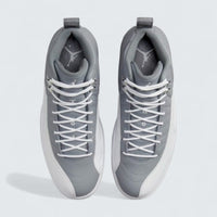 Air Jordan 12 'Stealth'