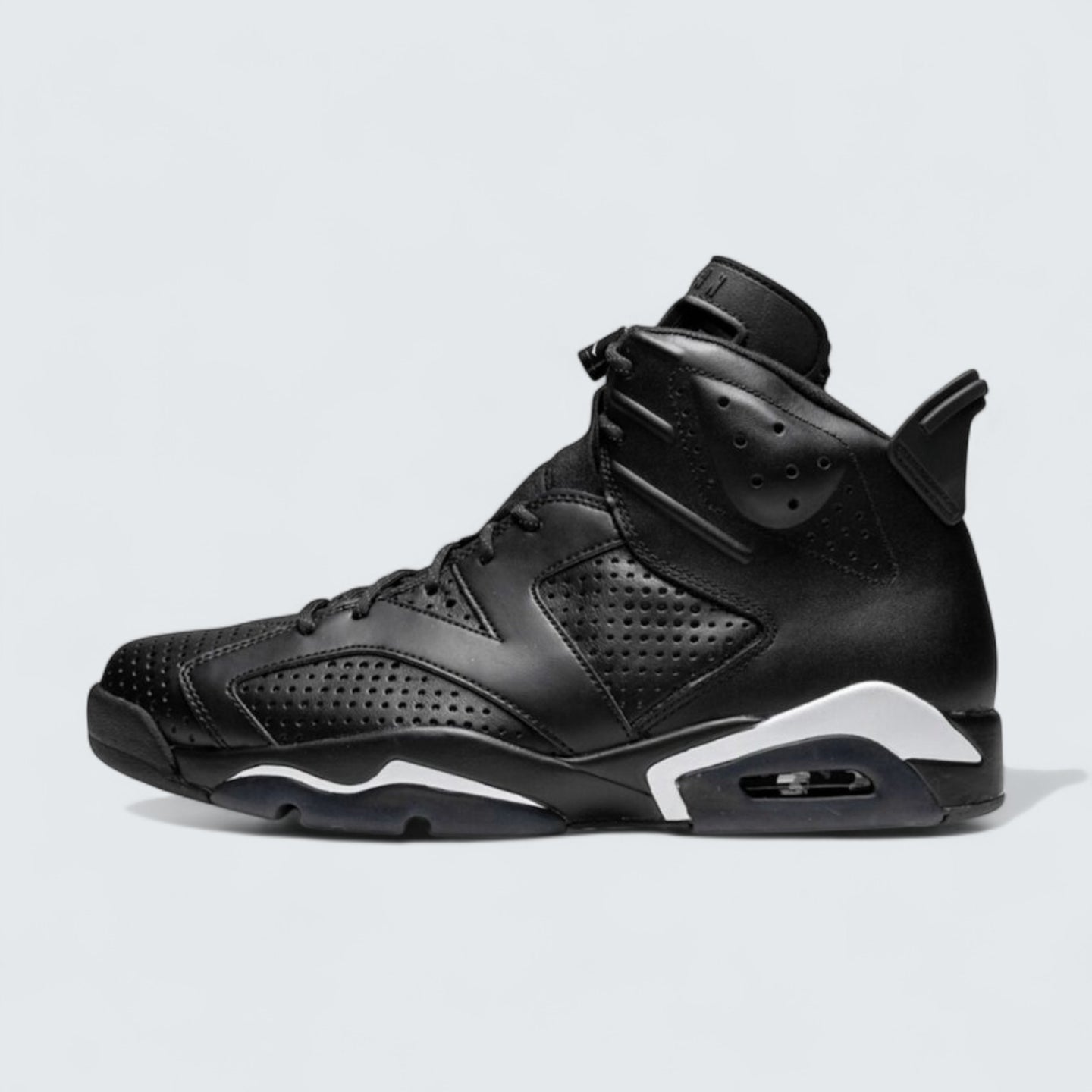 Air Jordan 6 'Black Cat'