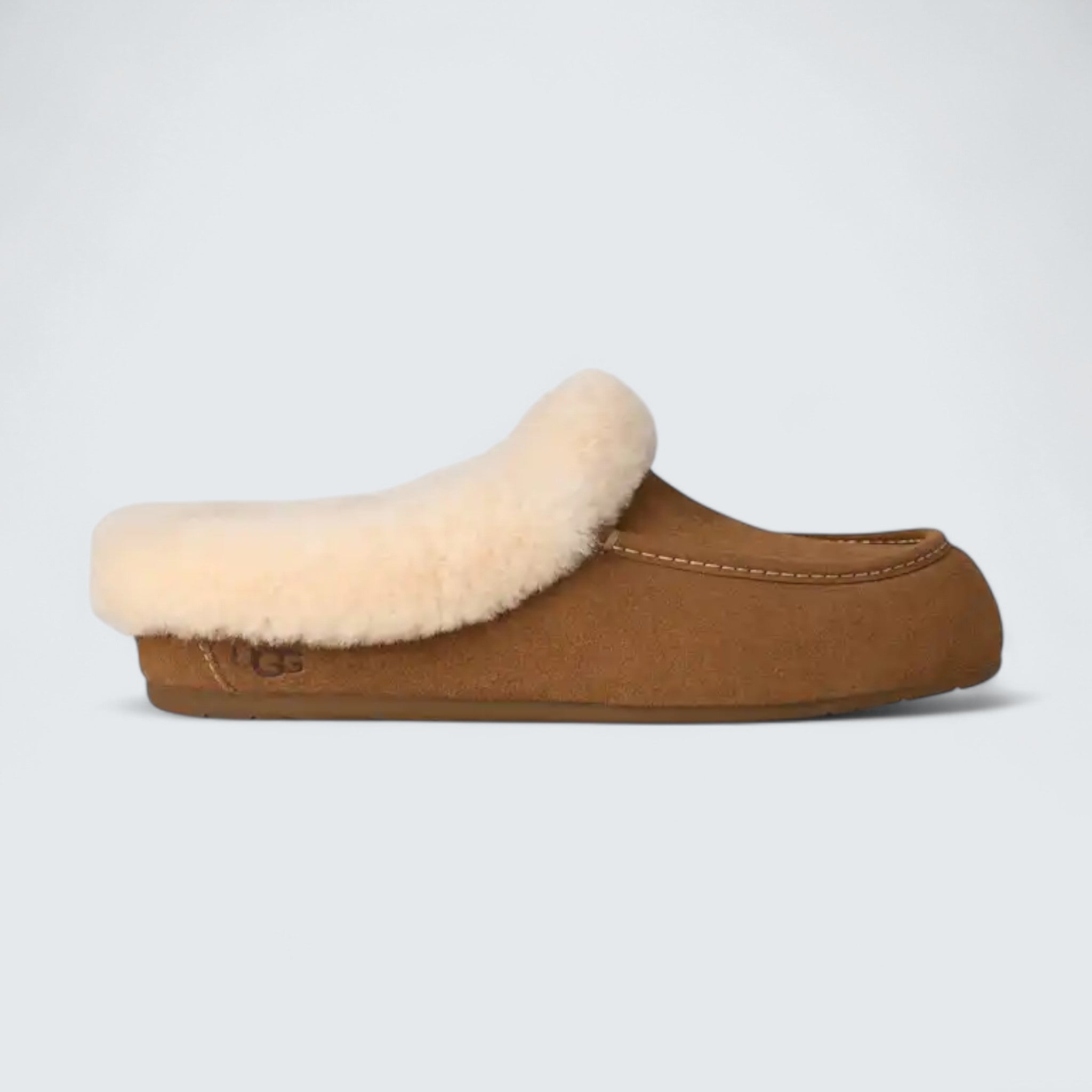 Ansley Mule