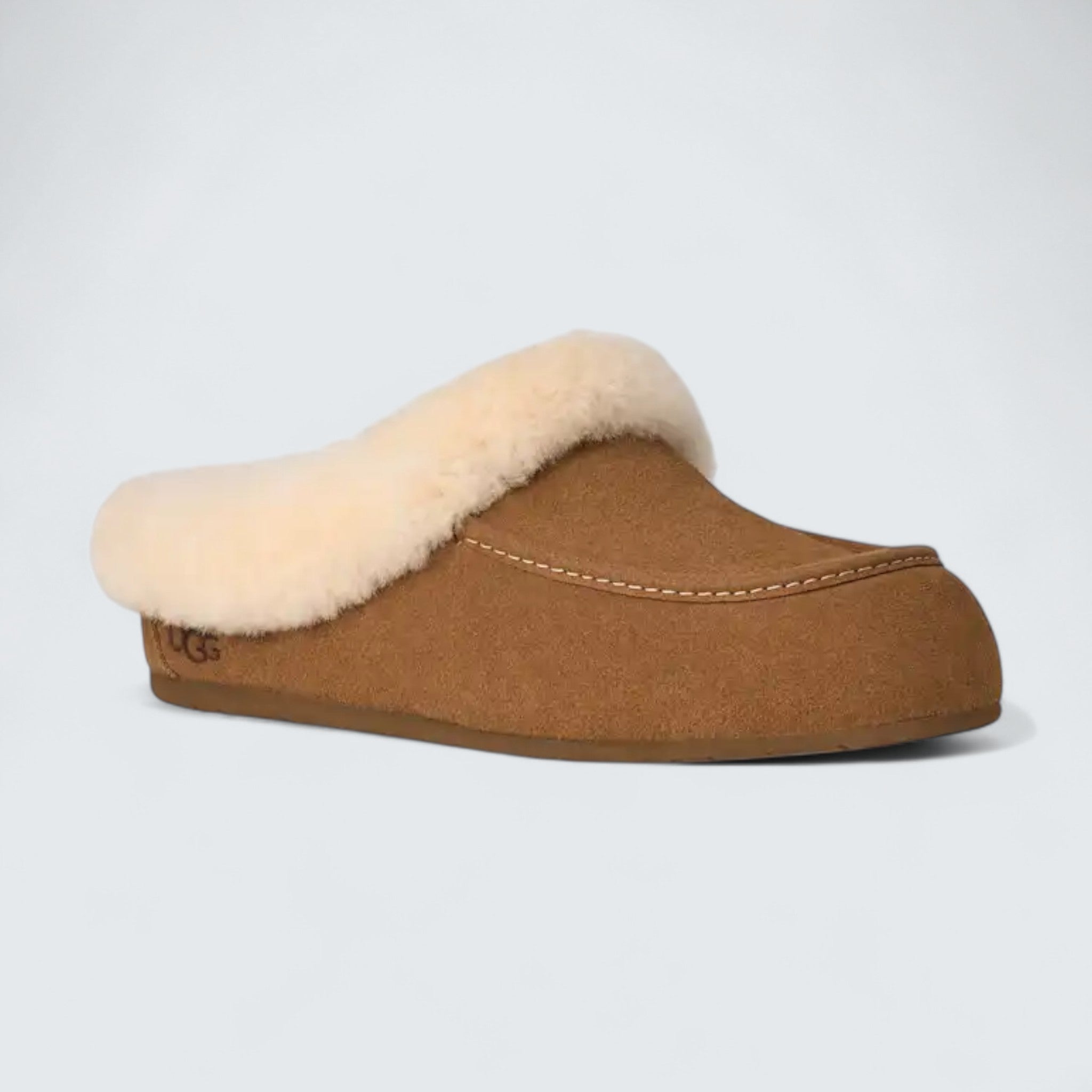 Ansley Mule