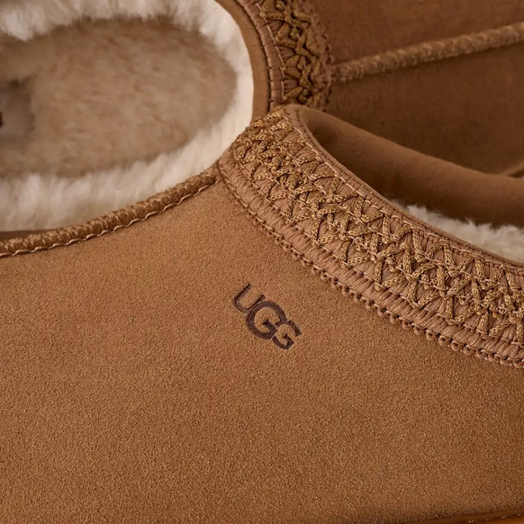 Tasman GTX