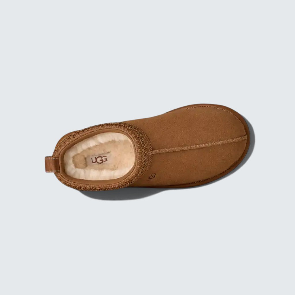 Tasman GTX