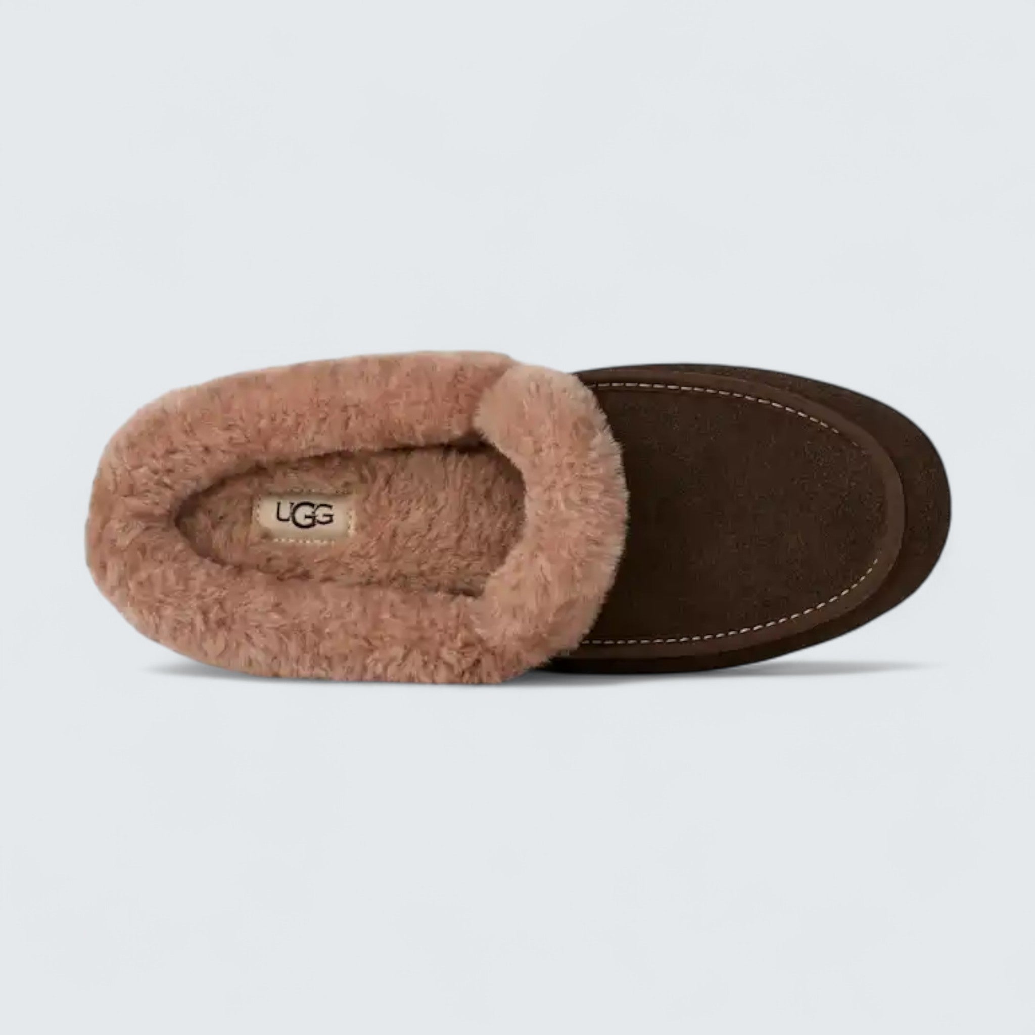 Ansley Mule