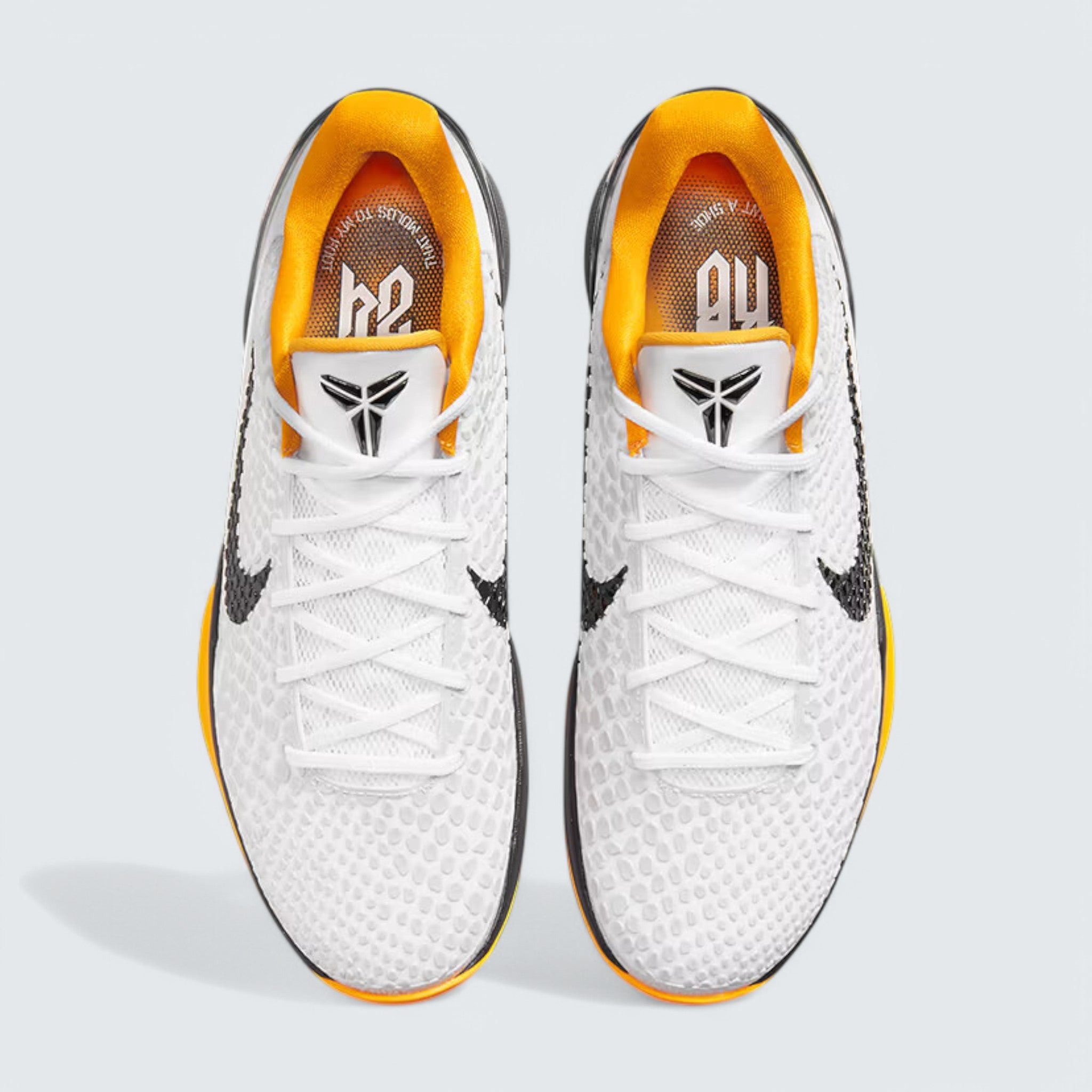 Kobe 6 Protro 'POP'