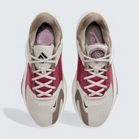 Zoom Freak 4 'Colosseum'